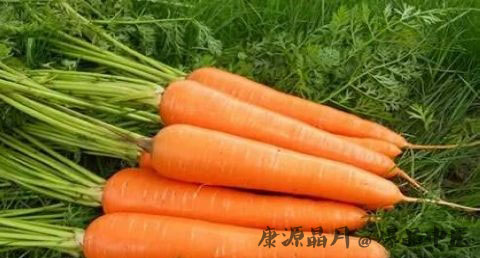 台湾小年的注意事项 台湾小年的注意事项