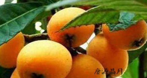 春季可以吃的水果有哪些 春季可以吃的水果有哪些