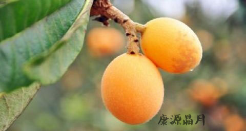 春季适合吃凤梨吗 春季适合吃凤梨吗