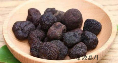 适合春季吃的菌类 适合春季吃的菌类
