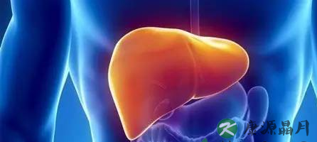 春季养肝的食物有哪些 春季养肝的食物有哪些