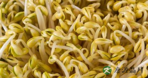 春季吃胡萝卜的好处 春季吃胡萝卜的好处