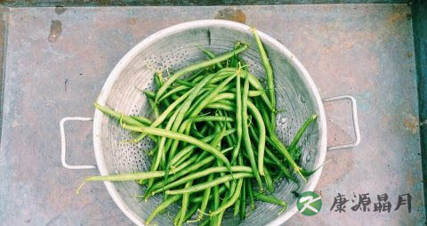 春季不适宜吃哪些食物 春季不适宜吃哪些食物