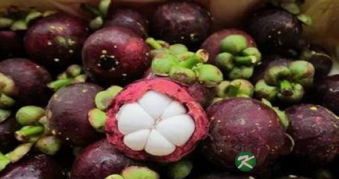 春季祛火的蔬菜有哪些 春季祛火的蔬菜有哪些