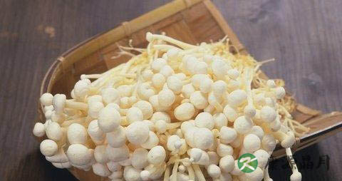 春季防过敏吃什么 春季防过敏吃什么
