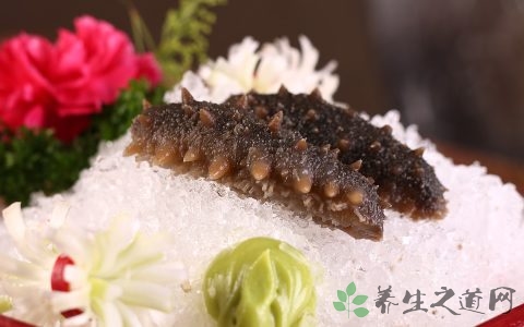 春季可以吃海参吗 春季可以吃海参吗