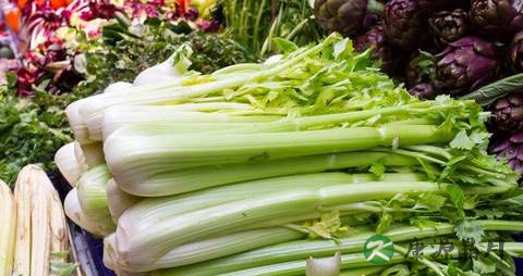 适合春季儿童吃的食物 适合春季儿童吃的食物