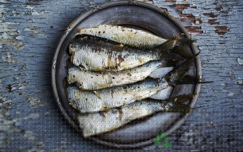 春季能吃海鲜吗 春季能吃海鲜吗