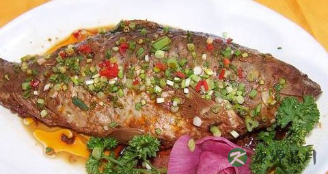 夏季鲤鱼爱吃什么 夏季鲤鱼爱吃什么