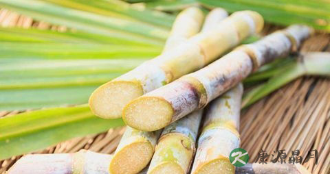 夏天感冒发烧吃什么比较好 夏天感冒发烧吃什么比较好