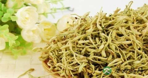 夏季养生应注意哪些 夏季养生应注意哪些