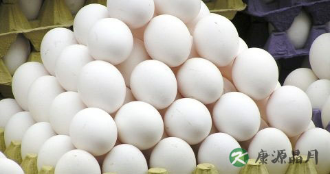 夏季吃什么菜热菜 夏季吃什么菜热菜