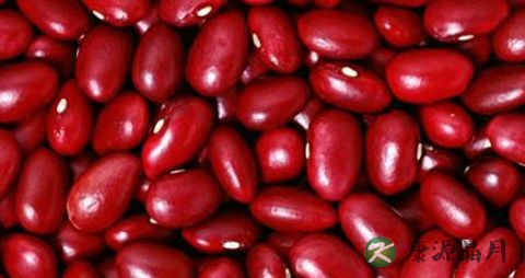 夏季吃什么青菜好 夏季吃什么青菜好