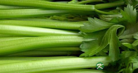 夏季吃什么青菜好 夏季吃什么青菜好