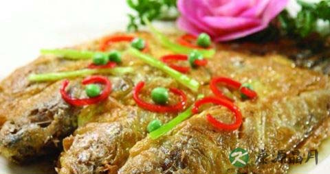 夏季吃什么鱼好 夏季吃什么鱼好