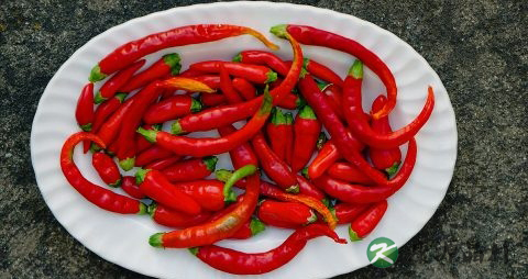 夏天吃什么食物有助于减肥 夏天吃什么食物有助于减肥