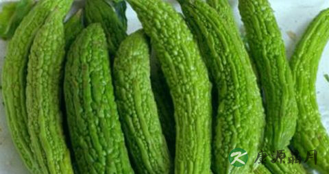 夏季吃什么鱼好 夏季吃什么鱼好