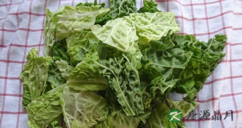 夏季适宜吃什么水果 夏季适宜吃什么水果