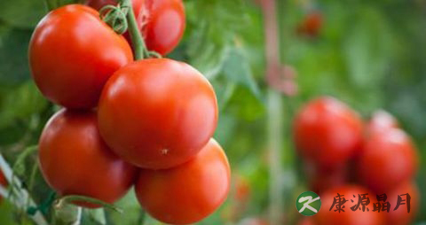 夏季腿部怎样防晒 夏季腿部怎样防晒