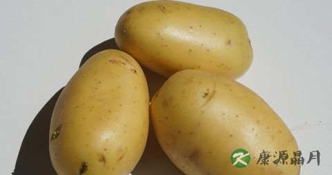 孕妇夏季护肤小常识 孕妇夏季护肤小常识