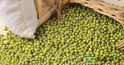 夏天有哪些水果成熟 夏天有哪些水果成熟