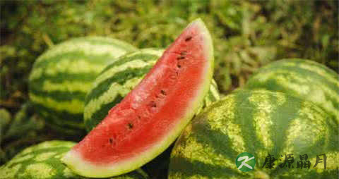 夏天吃什么败火 夏天吃什么败火