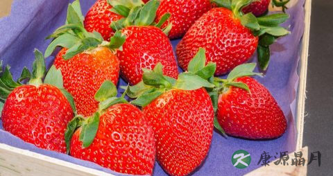 夏季出门如何做好防晒 夏季出门如何做好防晒
