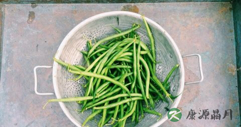 夏天不宜多吃的水果 夏天不宜多吃的水果