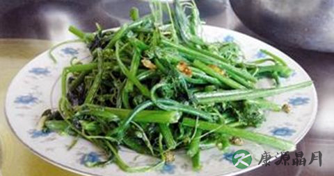 老年人夏季养生菜谱 老年人夏季养生菜谱
