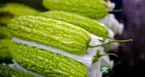 夏季可以吃什么 夏季可以吃什么