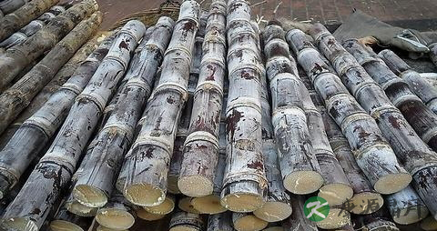 皮肤干起皮是缺什么 皮肤干起皮是缺什么