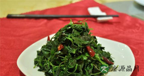 秋季野菜有哪些 秋季野菜有哪些