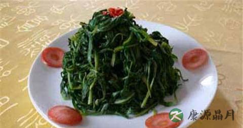 秋季野菜有哪些 秋季野菜有哪些