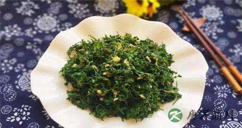 秋季野菜有哪些 秋季野菜有哪些