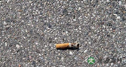 喝白罗卜水冶鼻炎吗 喝白罗卜水冶鼻炎吗