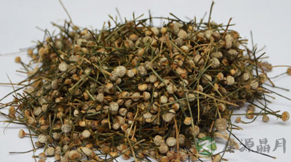 谷精草的功效与作用_谷精草的药用价值 谷精草的功效与作用_谷精草的药用价值