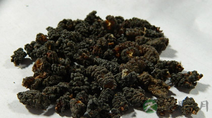 桑葚子的功效与作用_桑葚子的药用价值 桑葚子的功效与作用_桑葚子的药用价值