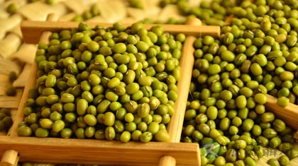 绿豆的功效与作用_绿豆的药用价值 绿豆的功效与作用_绿豆的药用价值