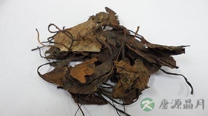 鹿衔草的功效与作用_鹿衔草的药用价值 鹿衔草的功效与作用_鹿衔草的药用价值
