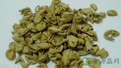 扁豆衣的功效与作用_扁豆衣的药用价值 扁豆衣的功效与作用_扁豆衣的药用价值