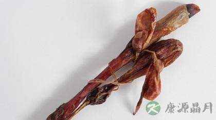 狗肾的功效与作用_狗肾的药用价值 狗肾的功效与作用_狗肾的药用价值