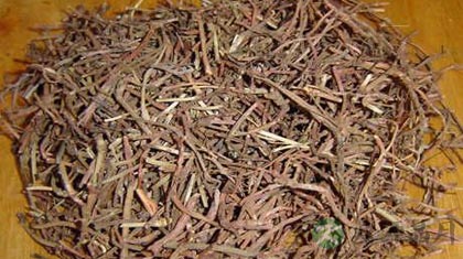 茜草的功效与作用_茜草的药用价值 茜草的功效与作用_茜草的药用价值