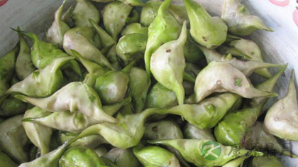 菱角的功效与作用_菱角的药用价值 菱角的功效与作用_菱角的药用价值