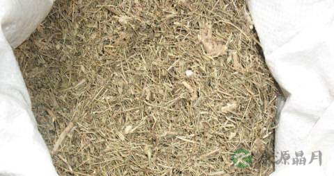 丁癸草的功效与作用 丁癸草的功效与作用