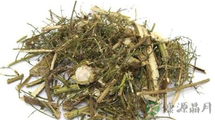 青蒿的功效与作用_青蒿的药用价值 青蒿的功效与作用_青蒿的药用价值