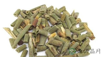 木贼的功效与作用_木贼的药用价值 木贼的功效与作用_木贼的药用价值