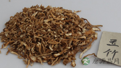 玉竹的功效与作用_玉竹的药用价值 玉竹的功效与作用_玉竹的药用价值