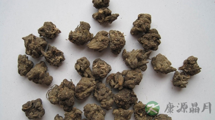 猫爪草的功效与作用_猫爪草的药用价值 猫爪草的功效与作用_猫爪草的药用价值