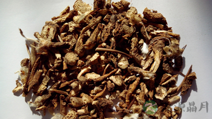白头翁的功效与作用_白头翁的药用价值 白头翁的功效与作用_白头翁的药用价值
