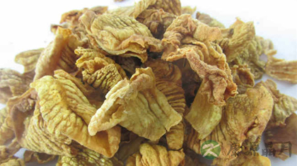鸡内金的功效与作用_鸡内金的药用价值 鸡内金的功效与作用_鸡内金的药用价值